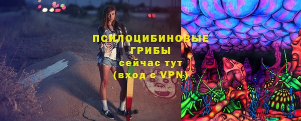 ешки Горно-Алтайск