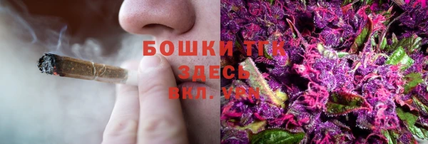 меф Горняк