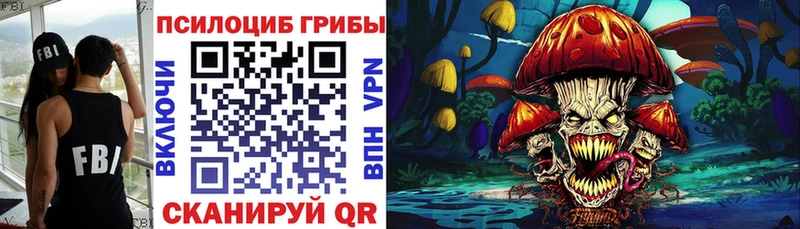 Галлюциногенные грибы Cubensis  Купить закладки  Людиново 
